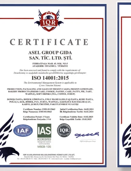 CERTIFICATE 04